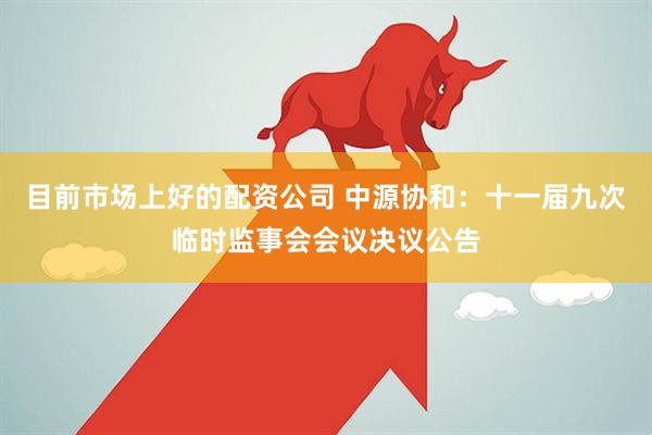 目前市场上好的配资公司 中源协和：十一届九次临时监事会会议决议公告